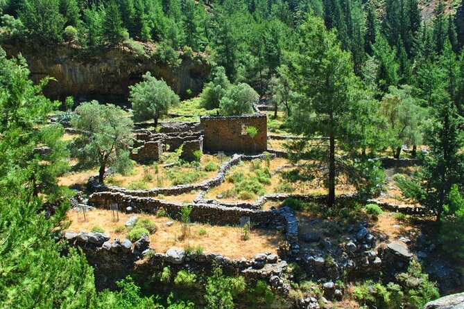 Full Day Hiking at Samaria Gorge&Agia Rumeli Beach from Heraklion - Who should book this Samaria Gorge day?