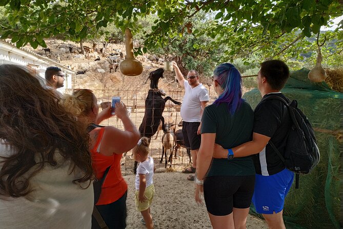 Full-Day Jeep Safari Tour with Cooking Lesson - Mountain roads, Ebassas Gorge, and local herbs