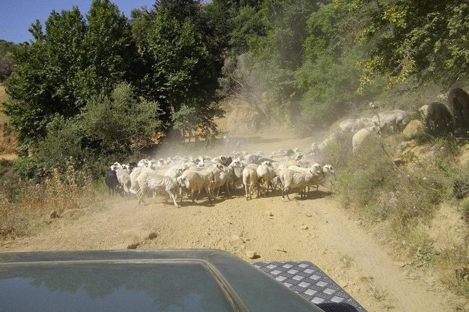 Full-Day Land Rover Safari from Heraklion with Lunch - Lassinthos Eco Park and Seli village
