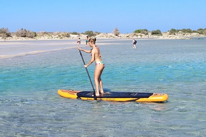 Full Day Private Minivan Tour to Elafonisi Beach and kedrodasos - Why this private Elafonisi trip makes sense