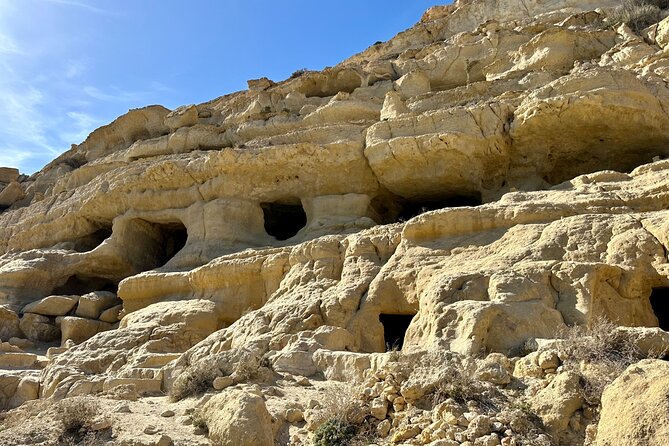 Full-Day Private Tour in Matala Caves and Ancient Gortyn in Crete - Who will get the most from this day