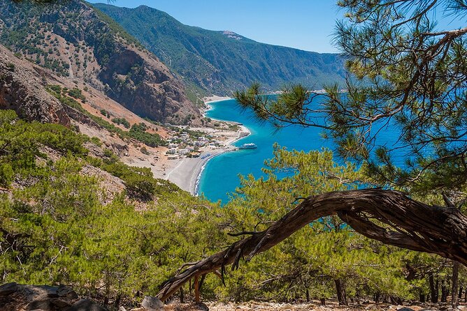 Full-Day Samaria Gorge Chania Guided Tour - Starting at Xiloskalo, 1,230 meters above sea level