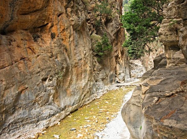 Full-Day Samaria Gorge Chania Guided Tour - Breakfast at Omalos before the trail