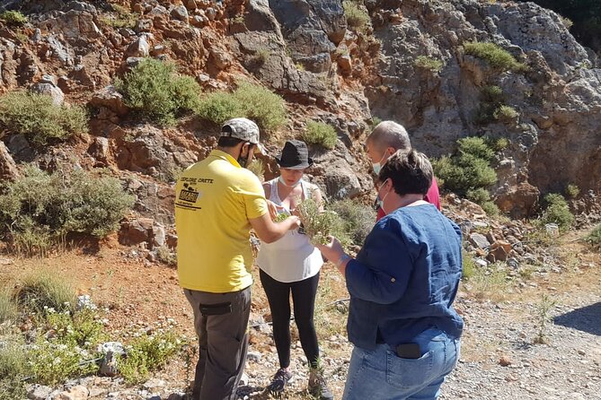 Full-Day Small-Group Tour in Crete with Zeus Cave Visit - The climb through Ebassas Gorge and the Lasithi windmills