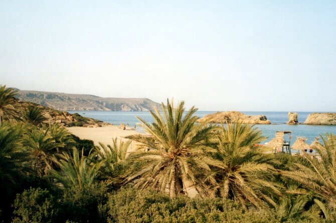 Full-Day Tour to Vai Palm Beach, Toplou Monastery, and Sitia Town - Sitia Town, a slower final stop