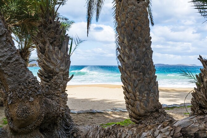 Full-Day Tour to Vai Palm Beach, Toplou Monastery, and Sitia Town - Practical tips for making the day smoother