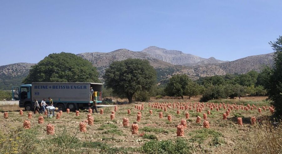 Full Day trip to Spinalonga and Lasithi Plateau Land of Zeus - Sailing to Spinalonga and understanding the island’s past