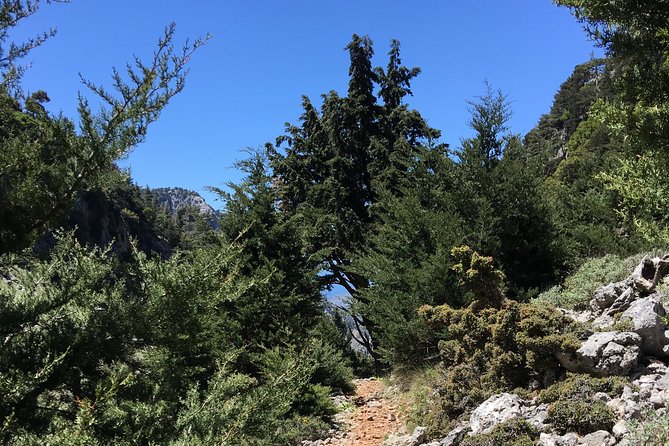 Fygou and Agia Irini Gorge Loop Half Day Hiking Tour - The coffee and Sfakiani pita stop