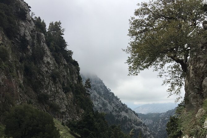 Fygou and Agia Irini Gorge Loop Half Day Hiking Tour - Reaching the old settlement of Fygou