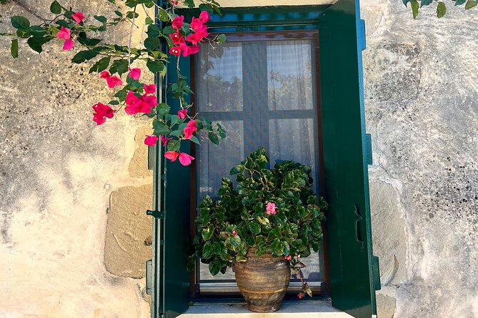 Gastronomy tour and wine tasting in traditional villages - Georgioupolis explains how Cretan olive oil is made