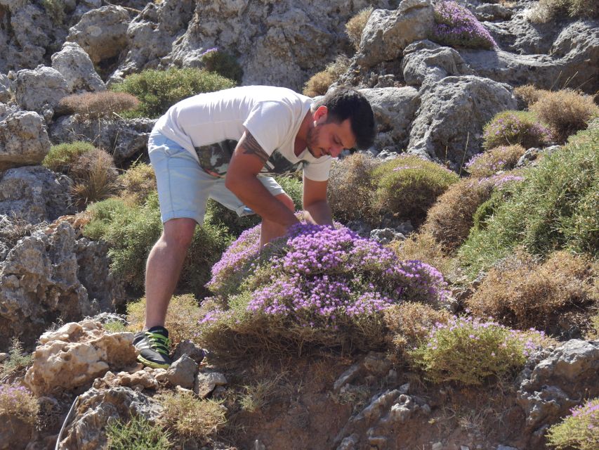 Georgioupolis Full-Day Land Rover Safari Experience - Why this safari shows you more of Crete in one day