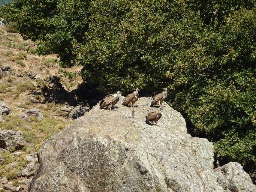 Georgioupolis Full-Day Land Rover Safari Experience - The White Mountains are the day’s main event