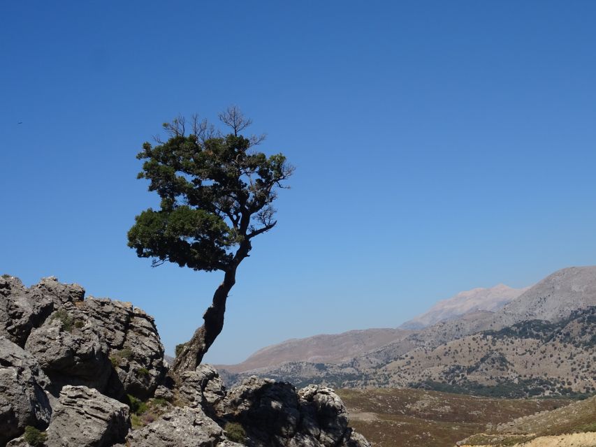 Georgioupolis Full-Day Land Rover Safari Experience - Swim in the South Cretan Sea before lunch