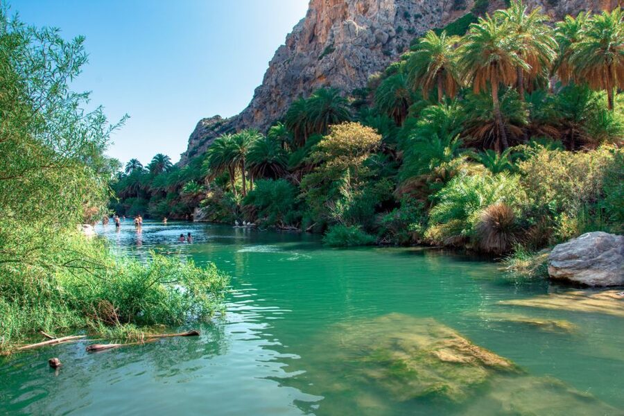 Georgioupolis: Preveli Palm Beach Day Trip by Bus and Boat - Two hours among the palms at Preveli Beach