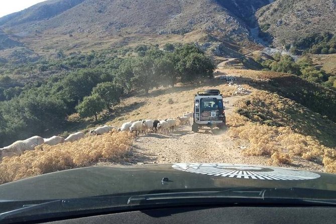 Georgioupolis Safari Off Road Tours Outdoor Activities Land Rover Defender - The olive oil factory explains Crete’s daily staple