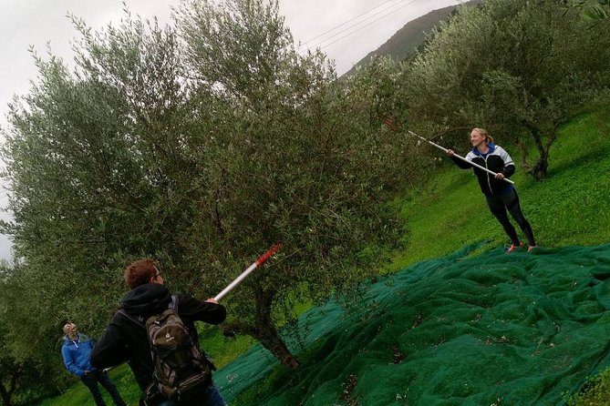 Half-Day Georgioupolis Off-Road Adventure with Meal - Key points to know before booking