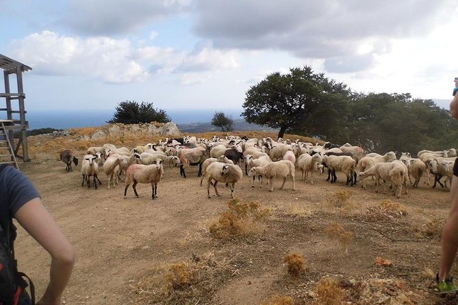 Half-Day Georgioupolis Off-Road Adventure with Meal - The rough climb through Apokoronas