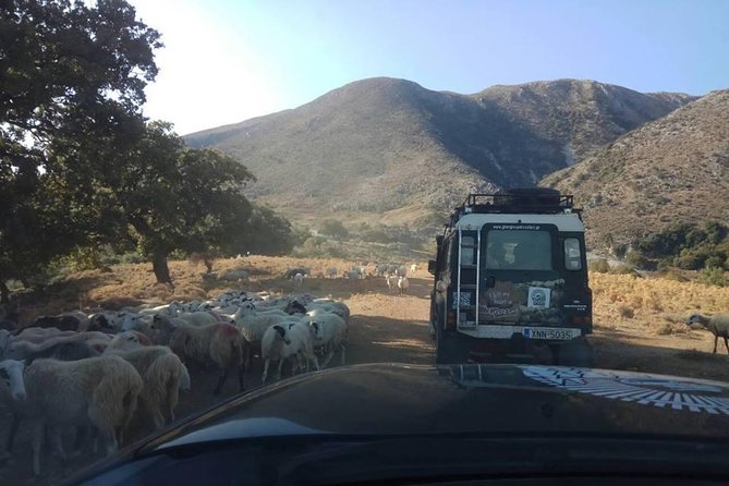 Half-Day Georgioupolis Off-Road Adventure with Meal - A traditional meal in Vryses