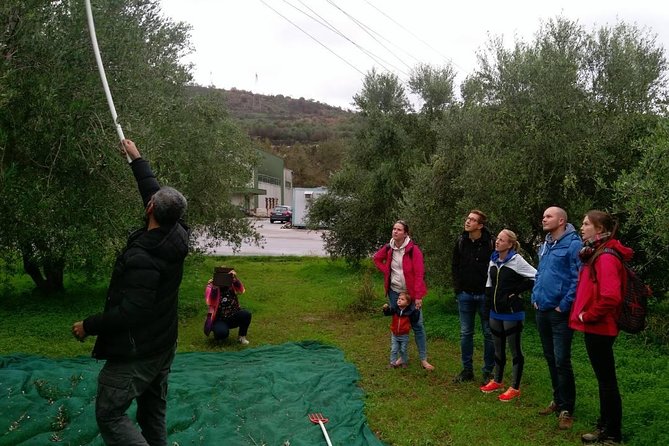 Half-Day Georgioupolis Off-Road Adventure with Meal - Pickup, timing, and group size