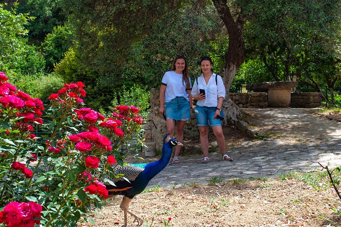 Half-Day Private Tour & Picnic in Real Cretan Countryside Retreat - What the $714.85 group price really means