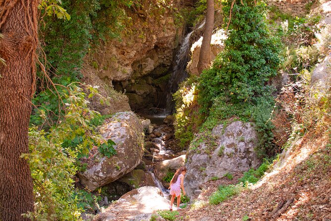 Half-Day Private Tour & Picnic in Real Cretan Countryside Retreat - Should you book this tour?