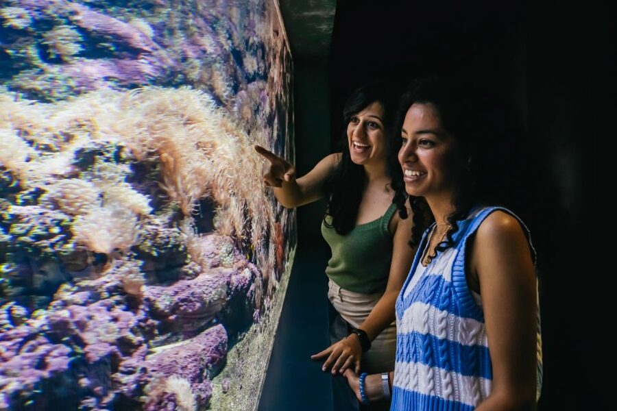 Heraklion Area: CRETAquarium Admission Ticket - Facilities and accessibility