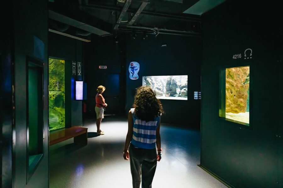 Heraklion Area: CRETAquarium Admission Ticket - Is the €9 ticket good value?