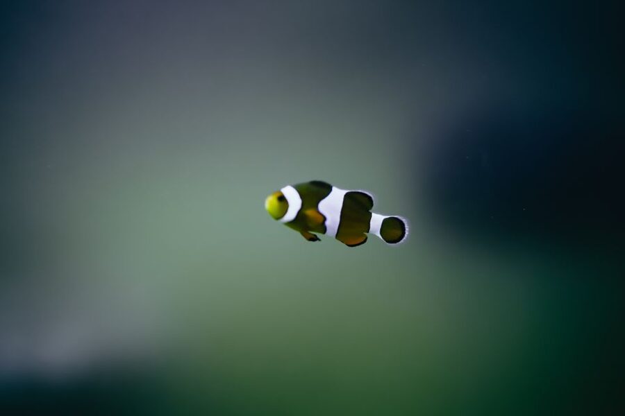 Heraklion Area: CRETAquarium Admission Ticket - Education, research, and animal care