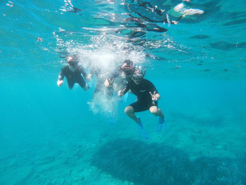 Heraklion: Beginner-Friendly Snorkeling Trip - What the $53 price really gets you
