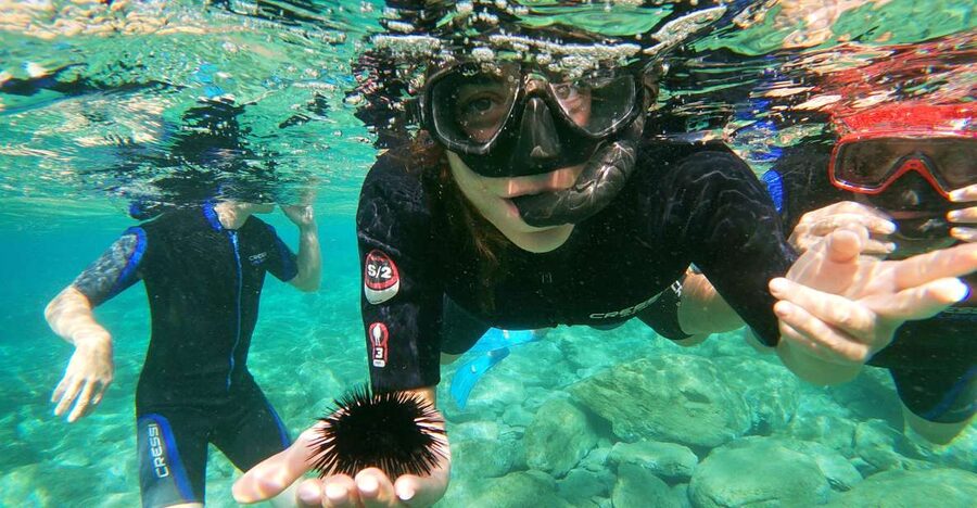 Heraklion: Beginner-Friendly Snorkeling Trip - A calm start for first-time snorkelers