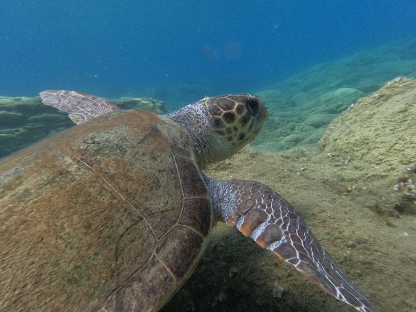 Heraklion: Beginner-Friendly Snorkeling Trip - A 30-minute pause for photos and recovery