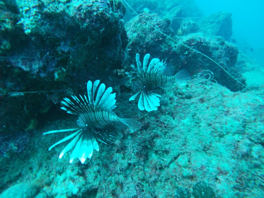 Heraklion: Beginner-Friendly Snorkeling Trip - Why the instructor matters more than the scenery