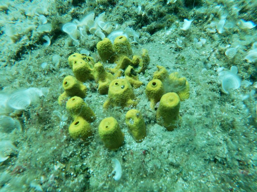 Heraklion: Beginner-Friendly Snorkeling Trip - Who will enjoy this most