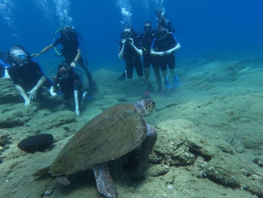 Heraklion: Beginner's intro dive w/2 Dives with transfer. - Key points at a glance