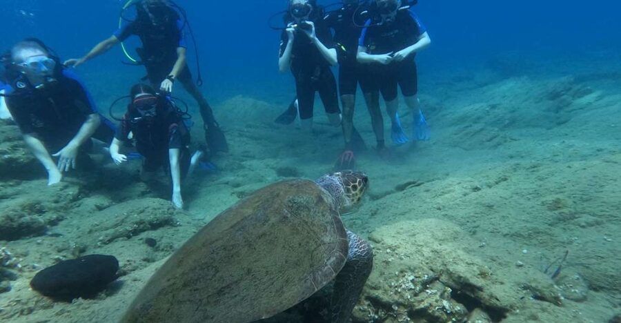 Heraklion: Beginner's intro dive w/2 Dives with transfer. - What your six hours in Agia Pelagia actually involve