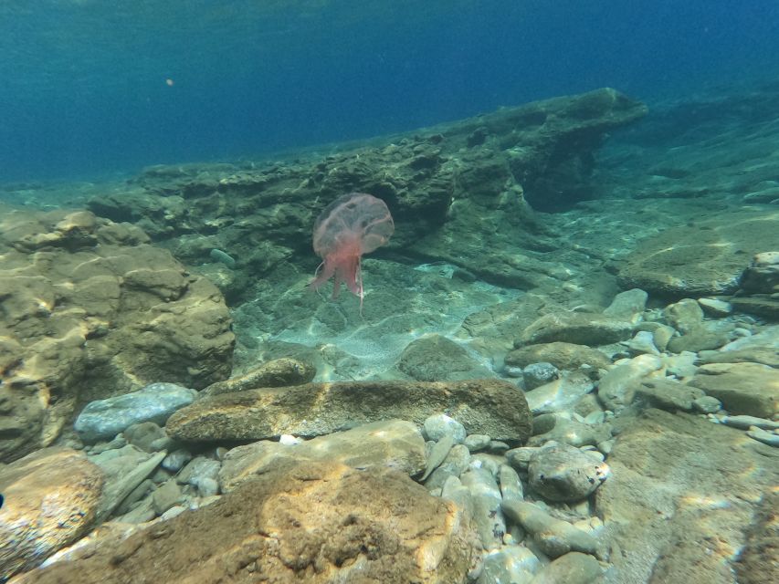 Heraklion: Beginner's intro dive w/2 Dives with transfer. - Getting ready for the morning