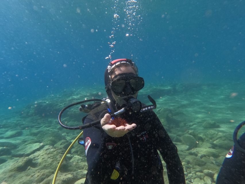 Heraklion: Beginner's intro dive w/2 Dives with transfer. - The practical limits of the experience
