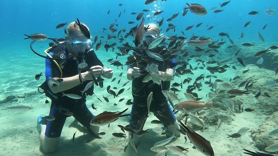Heraklion: Beginner Scuba Diving Lesson with PADI Instructor - The practical drawbacks to consider