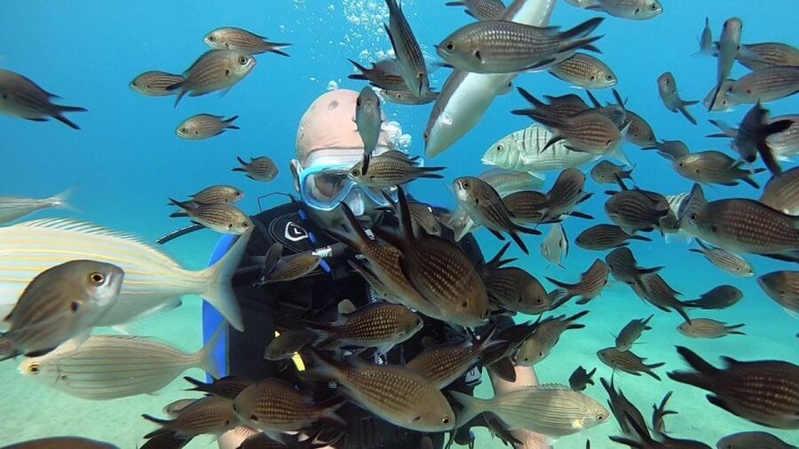 Heraklion: Beginner Scuba Diving Lesson with PADI Instructor - Returning to shore, footage, and time in Agia Pelagia