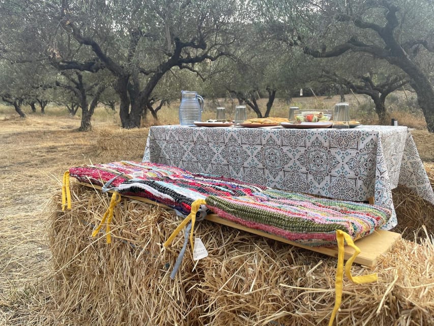 Heraklion: Cretan Farmers Brunch and Olive Grove Tour - Key points to know before booking