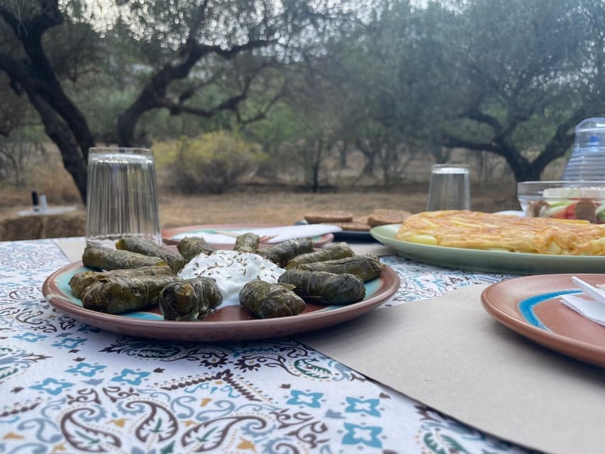 Heraklion: Cretan Farmers Brunch and Olive Grove Tour - What arrives at the Cretan table