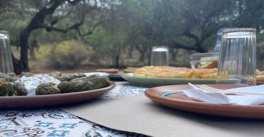 Heraklion: Cretan Farmers Brunch and Olive Grove Tour - Meeting Alex and entering the olive grove
