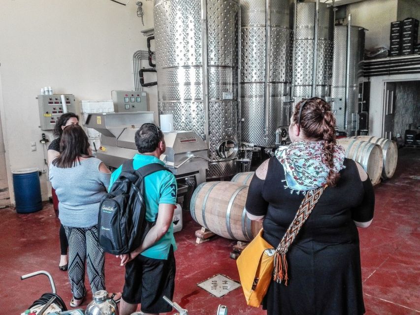 Heraklion: Cretan Wine Tasting Tour & Gourmet Lunch - Olive oil, bread, honey, and the Cretan table