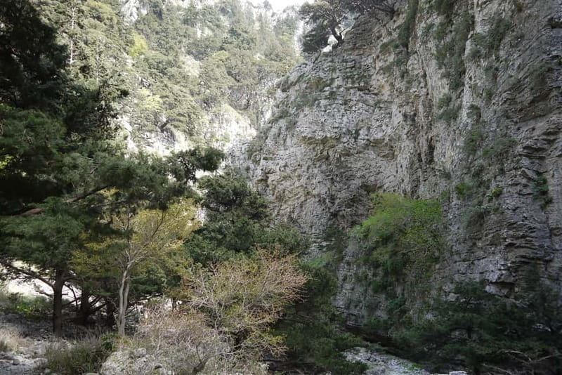Heraklion Crete: Imbros Gorge Hike - What the gorge walk feels like in practice
