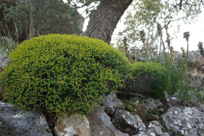 Heraklion Crete: Imbros Gorge Hike - What to pack for the gorge and coast