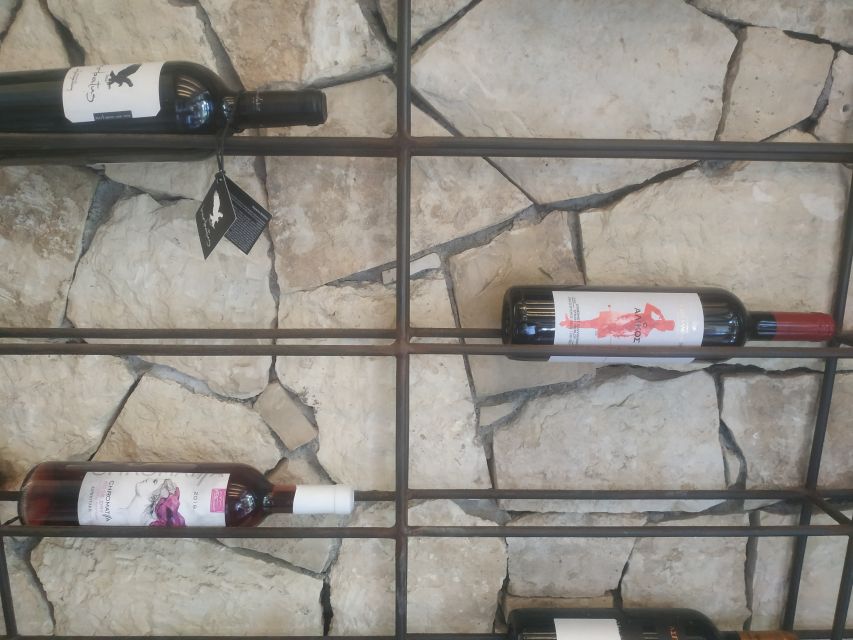 Heraklion: Ecobike Tour with Wine Tasting - Why this Heraklion tour works