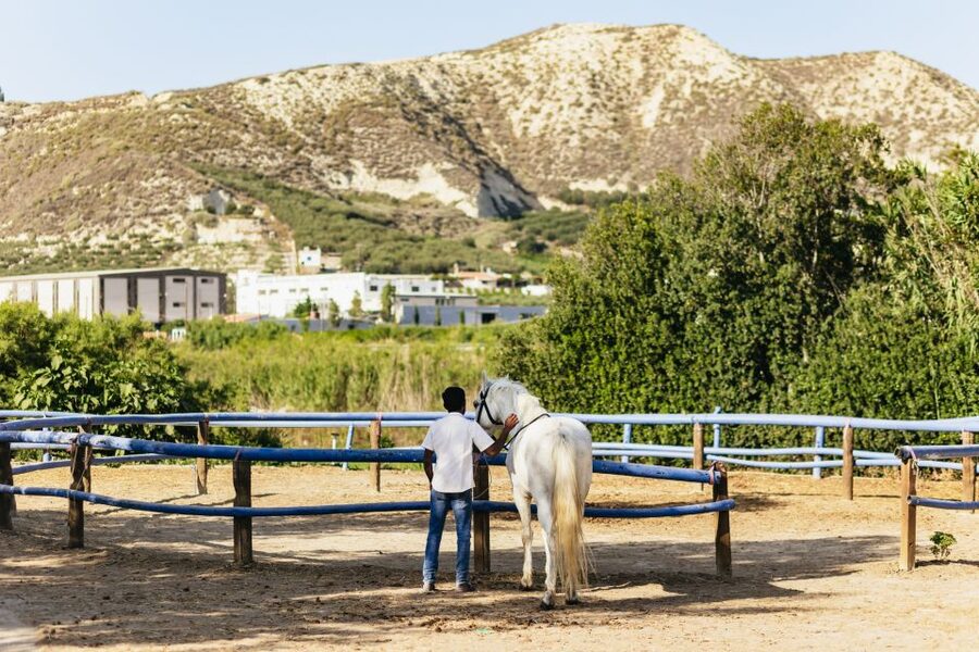 Heraklion: Finikia Horse Riding Tour with Lunch or Dinner - Key points to know before booking