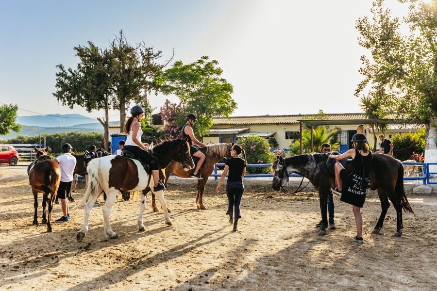 Heraklion: Finikia Horse Riding Tour with Lunch or Dinner - Who should book this Finikia experience?