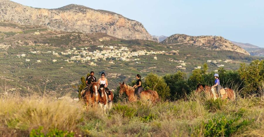 Heraklion: Finikia Horse Riding Tour with Lunch or Dinner - Following olive groves toward the Finikia viewpoint