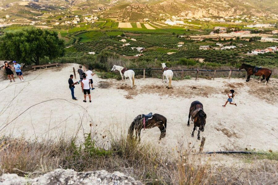 Heraklion: Finikia Horse Riding Tour with Lunch or Dinner - Is the riding suitable for first timers?